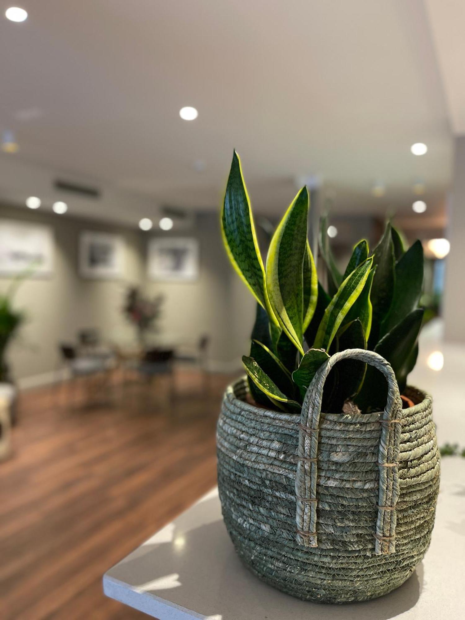 Vtz Hotel San Valero Zaragoza Ngoại thất bức ảnh